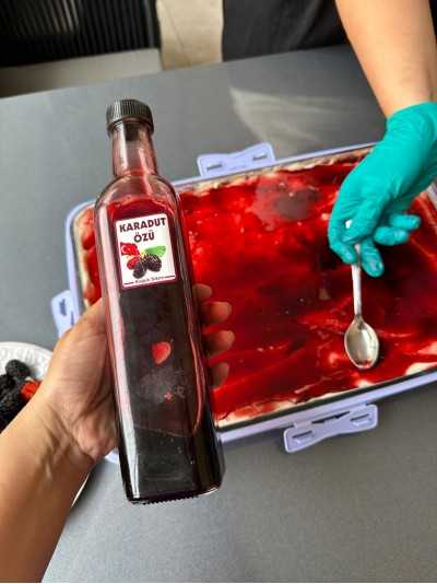 Karadut Özü 700 Ml