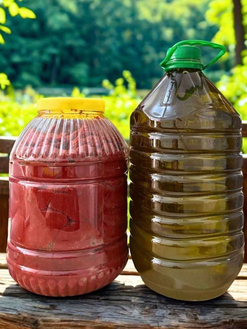 Domates Salçası 5 kg + Zeytinyağı 5 lt