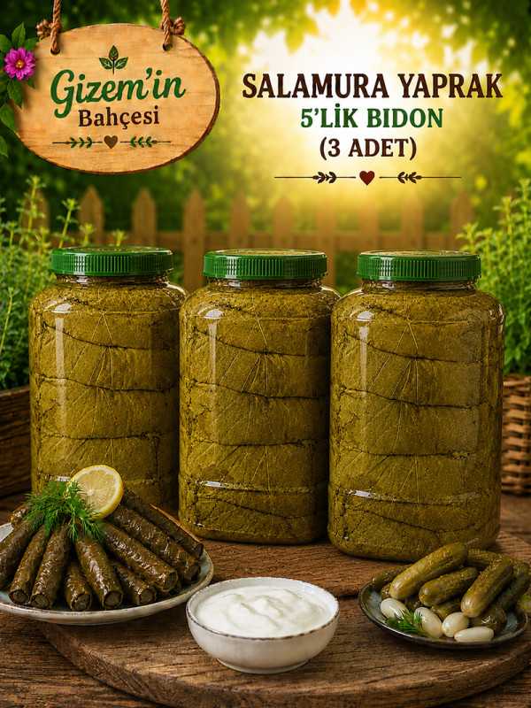 Salamura Asma Yaprak 3x5'lik Bidon