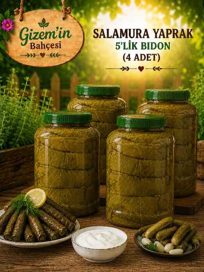 Salamura Asma Yaprak 4x5'lik Bidon