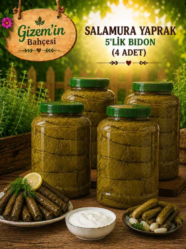 Salamura Asma Yaprak 4x5'lik Bidon